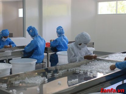 Quy trình sản xuất Nhựa Nguyên Sinh số lượng lớn bạn nên biết