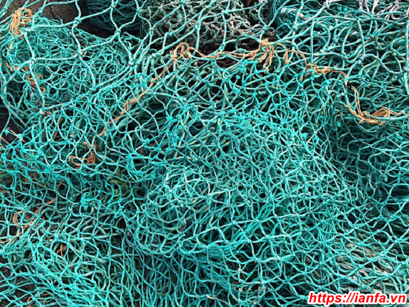 Tùy từng loại lưới đánh cá sẽ có mức giá khác nhau
