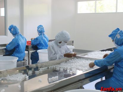 Quy trình Sản Xuất Nhựa Nguyên Sinh không phải ai cũng biết