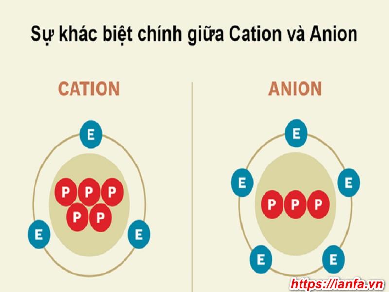 So sánh sự khác nhau giữa hạt nhựa Anion và cation